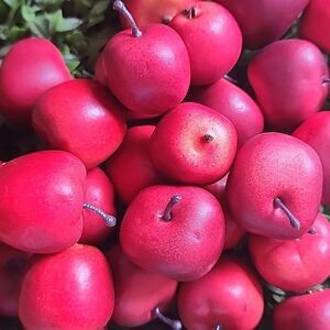 Filler For Baskets Vases Display Crafting